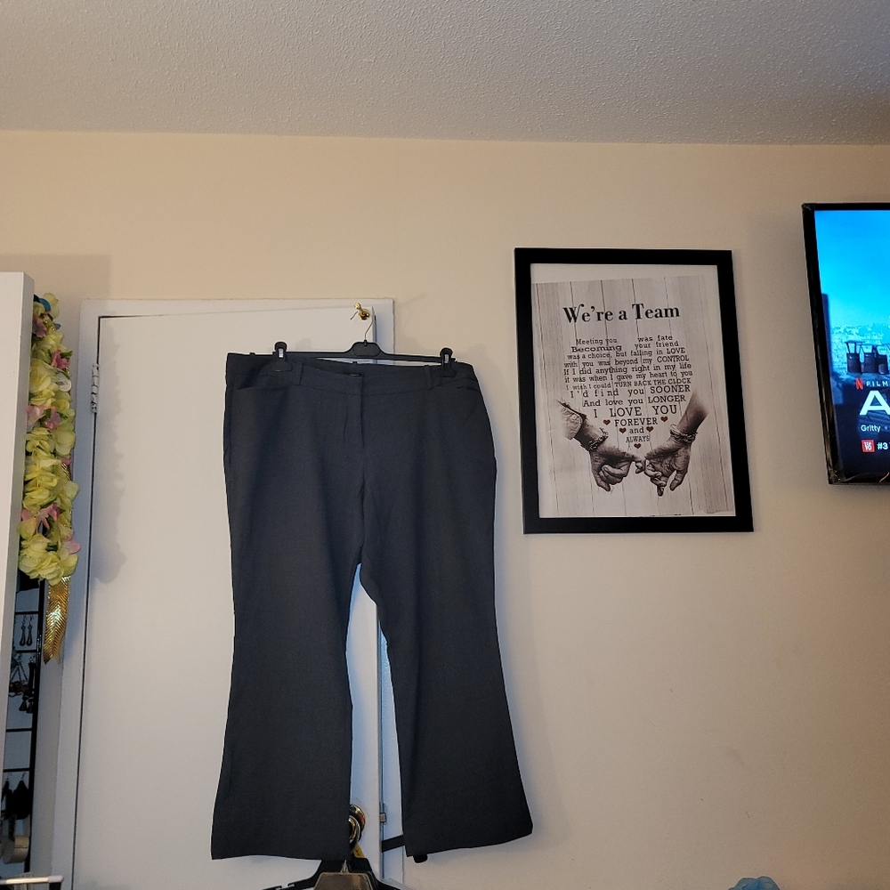 Torte straight size 18W gray pants